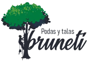 DESBROCE FINCAS, LIMPIEZAS TERRENOS PARCELAS Toledo 