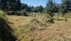 DESBROCE DE FINCAS Limpieza de terrenos